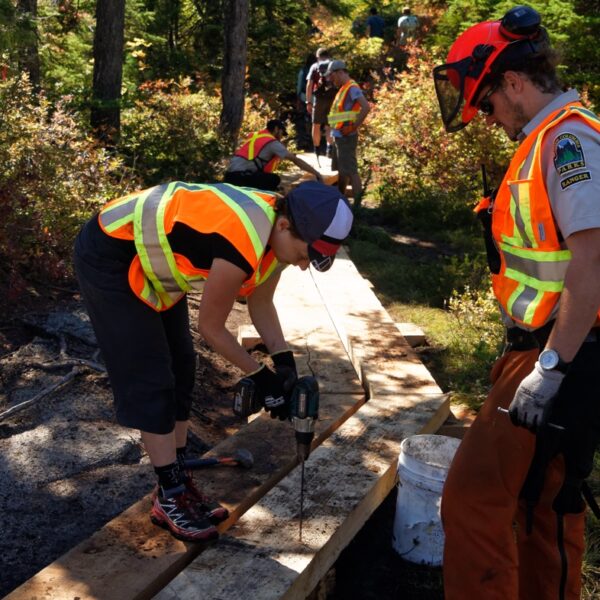 Trail elves needed for Baden Powell trail work in Cypress Park