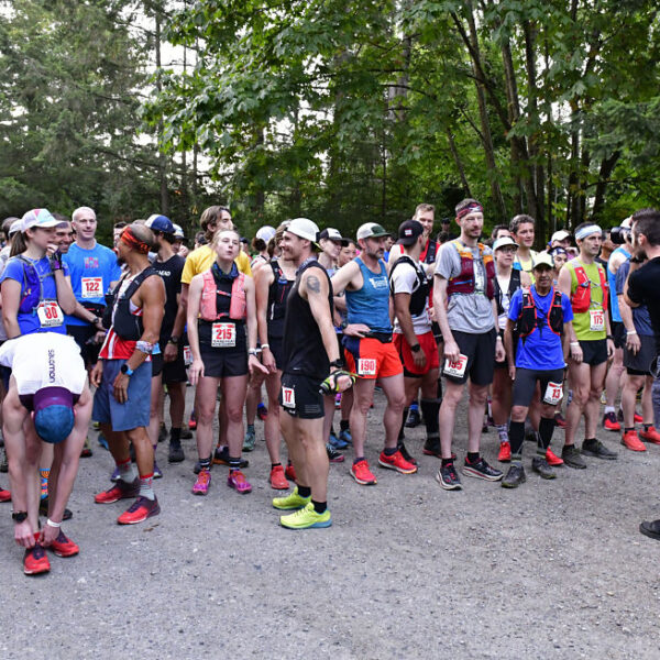 Welcome to the Lottery!