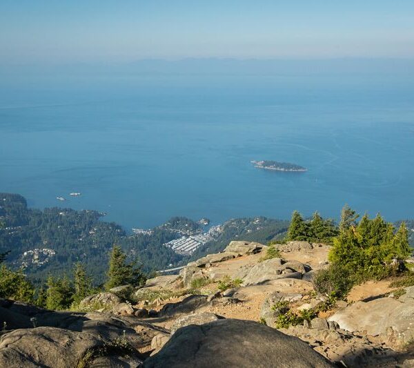 In Memory of Laura Kosakoski