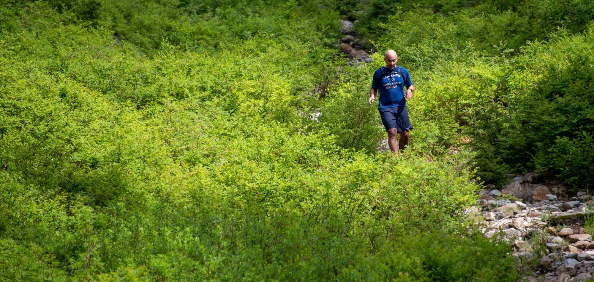 Jun 30, 2024 - Training run photos from Hollyburn Lodge area - Knee ...